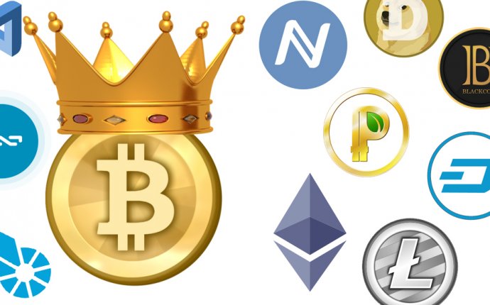 Bitcoin Maximalism Remains as Competitors Rise - Bitcoin News