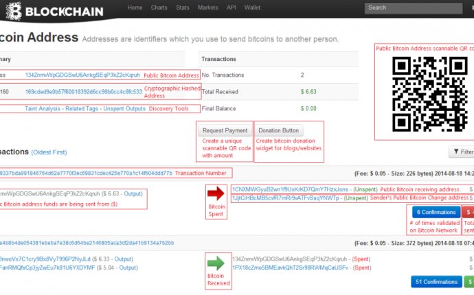 How to understand the Blockchain.info address and transactions