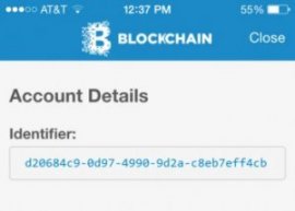 Image displaying sample Blockchain Wallet Identifier - iOS