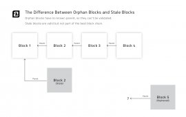 Orphan blocks and stale blocks